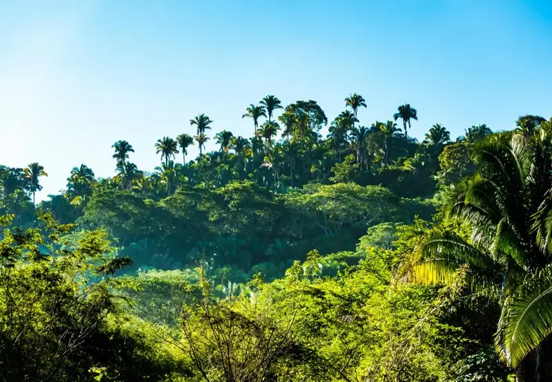 Jaragua National Park