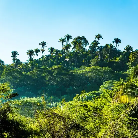 Image related to Jaragua National Park