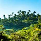 Image related to Jaragua National Park