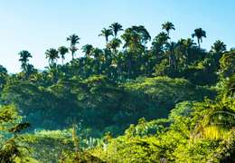 IgluCruise.Application.ViewModels.Shared.WebImageViewModel?.Description