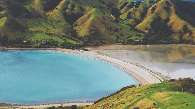 Discover a sunny New Zealand city, gateway to golden beaches and three national parks.