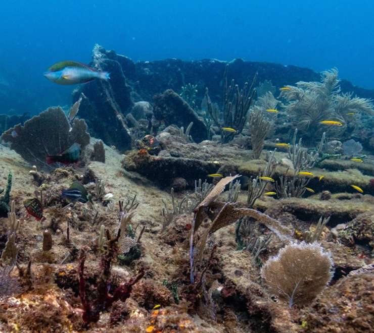 Rhone National Marine Park