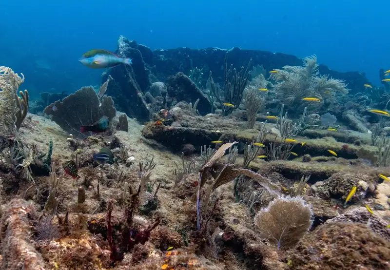 Rhone National Marine Park