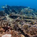 Image related to Rhone National Marine Park