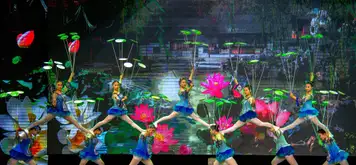 Image related to Beijing - Acrobatic Night Show