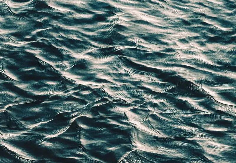 Image related to Adventure Park