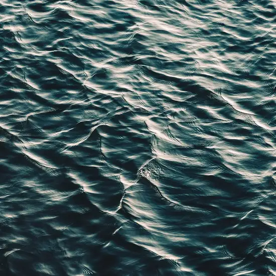 Image related to Image related to Adventure Park