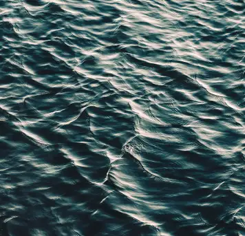 Image related to Adventure Park