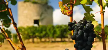 Image related to Medoc, France - Overnight onboard