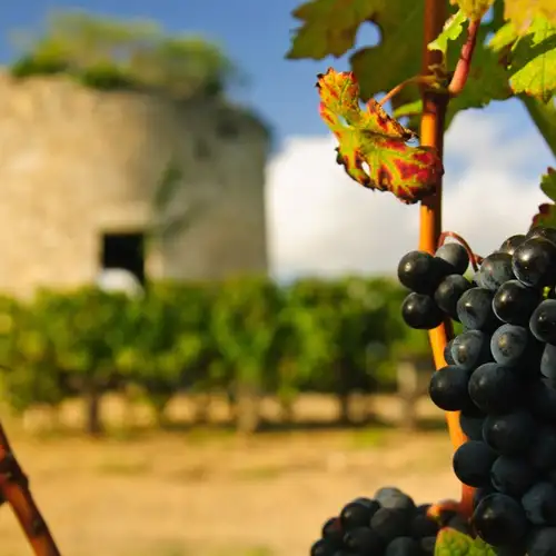 Image related to Medoc, France - Overnight onboard