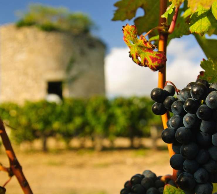 Medoc, France - Overnight onboard