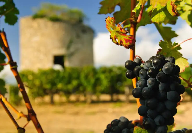 Medoc, France