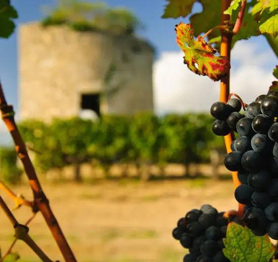 Image related to Medoc, France