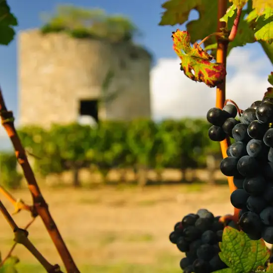 Image related to Medoc, France - Overnight onboard