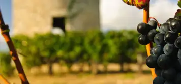 Image related to Medoc, France