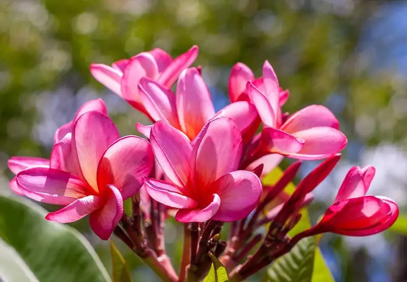 Image related to Historical Park