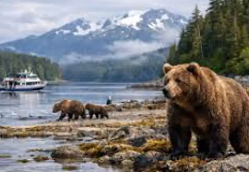  Spot Coastal Brown Bears