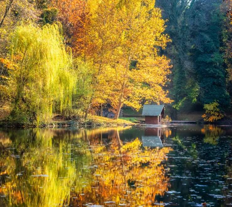 Lipnik Forest Park