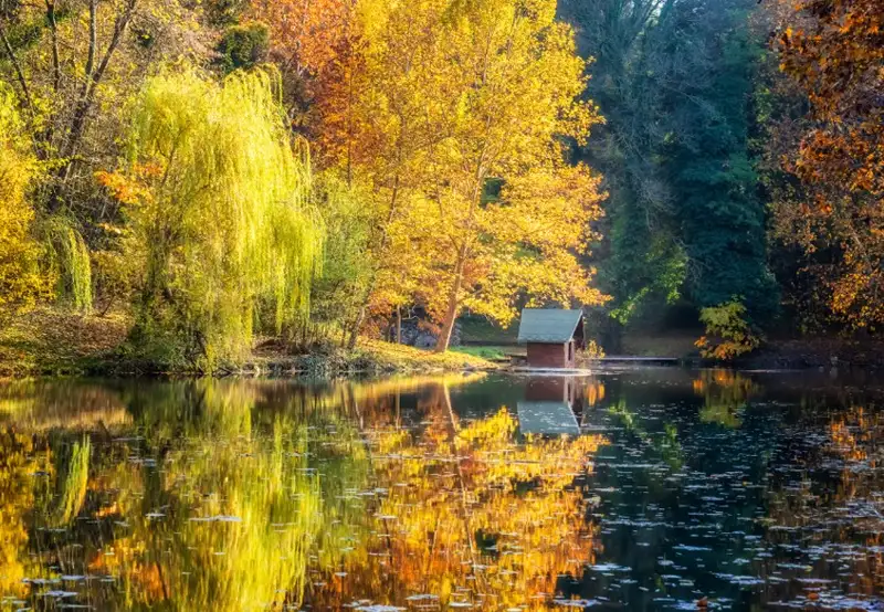 Lipnik Forest Park