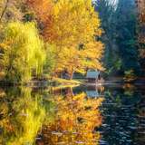 Image related to Lipnik Forest Park