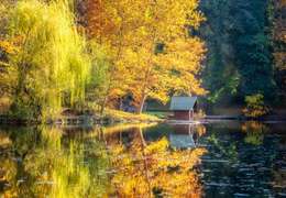 IgluCruise.Application.ViewModels.Shared.WebImageViewModel?.Description