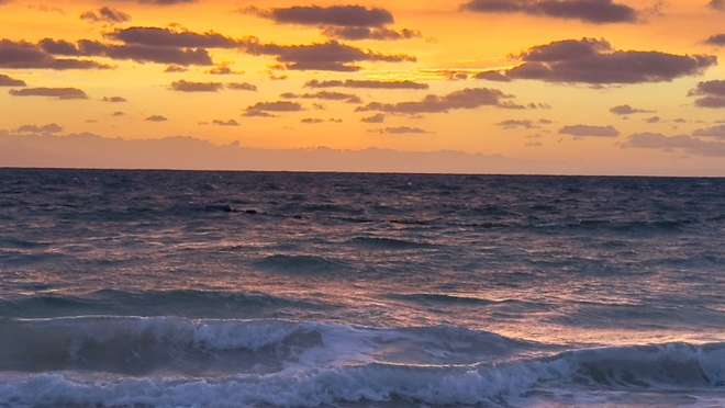 Discover the largest and wildest of the Bahamian islands, a paradise for divers.