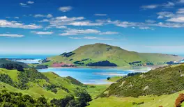 Image related to Dunedin