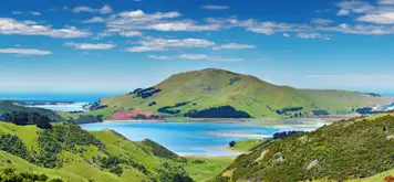 Image related to Dunedin