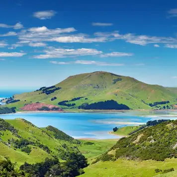 Image related to Dunedin