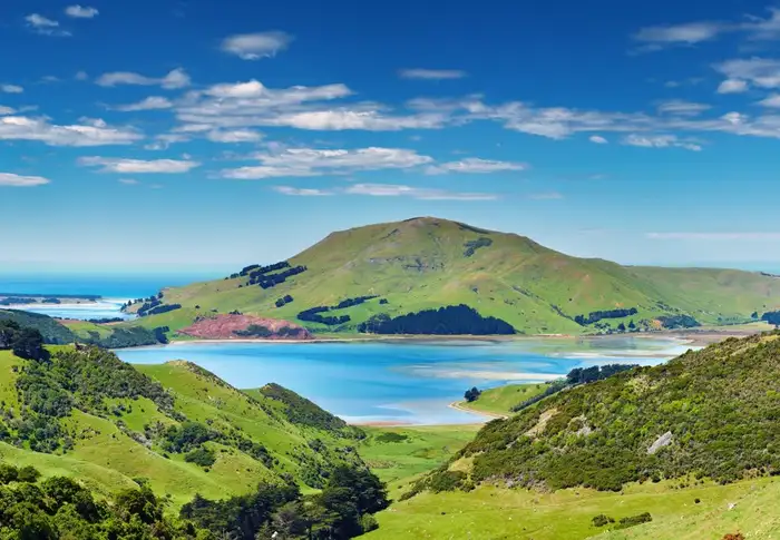 Photo of Day 17: Dunedin