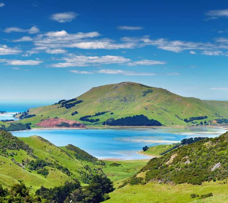 Dunedin