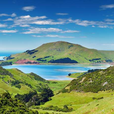 Photo overview of Dunedin