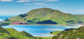 Image related to Dunedin - Overnight onboard