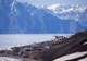 Pond Inlet