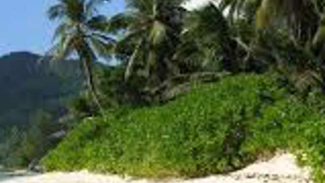 Aride Island