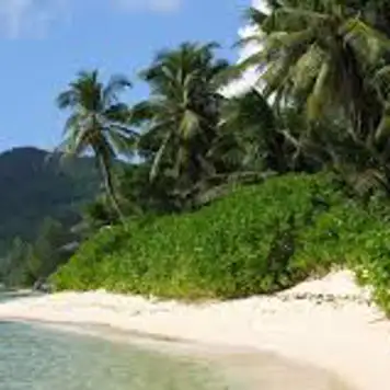 Image related to Aride Island