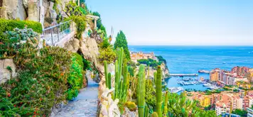 Jardin Exotique