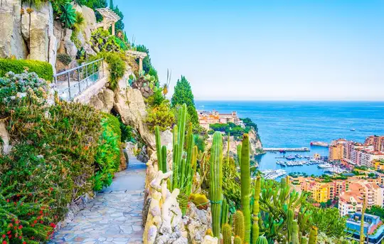 Jardin Exotique
