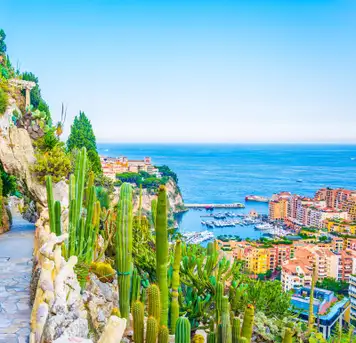 Image related to Jardin Exotique