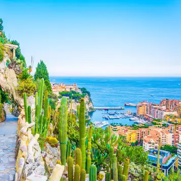 Image related to Jardin Exotique