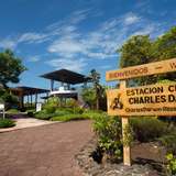 Image related to Charles Darwin Research Station