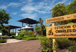 IgluCruise.Application.ViewModels.Shared.WebImageViewModel?.Description