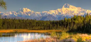Image related to Denali - Afternoon at Leisure