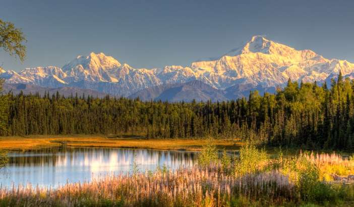 Denali - Afternoon at Leisure