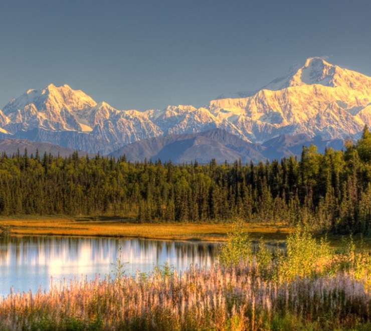 Denali - Afternoon at Leisure