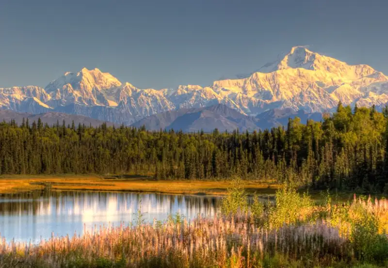 Denali - Afternoon at Leisure