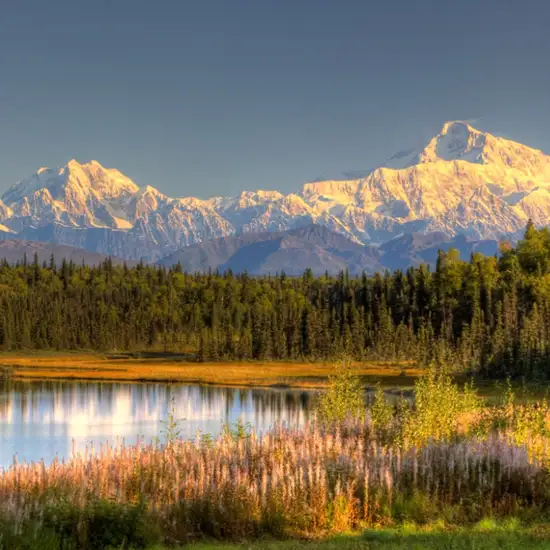Image related to Denali - Afternoon at Leisure