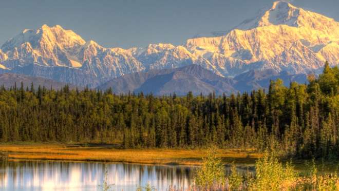 Denali - Afternoon at Leisure