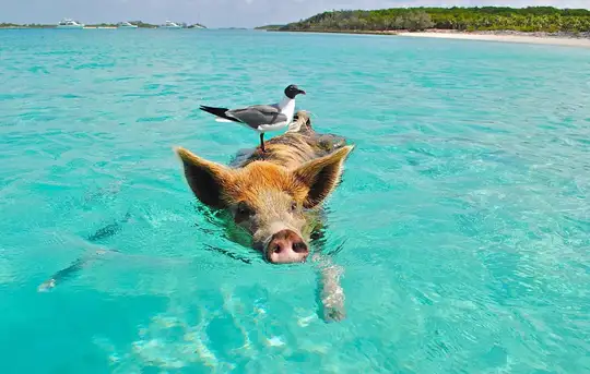 Image related to Staniel Cay