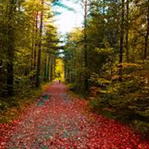 Image related to Furulunden Nature Park